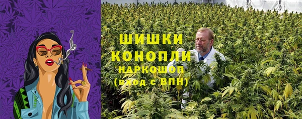 альфа пвп Гусев
